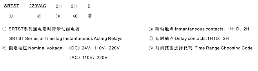 SRTST-220VDC-1H1D-1H1D-B型號(hào)及其含義